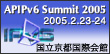 APIPv6 Summit 2005
